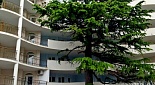 Снять квартиру Респ Крым, г Ялта, ул Таврическая, д 2 