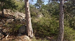 Купить земельный участок Респ Крым, г Ялта, пгт Восход, ул Наташинская 
